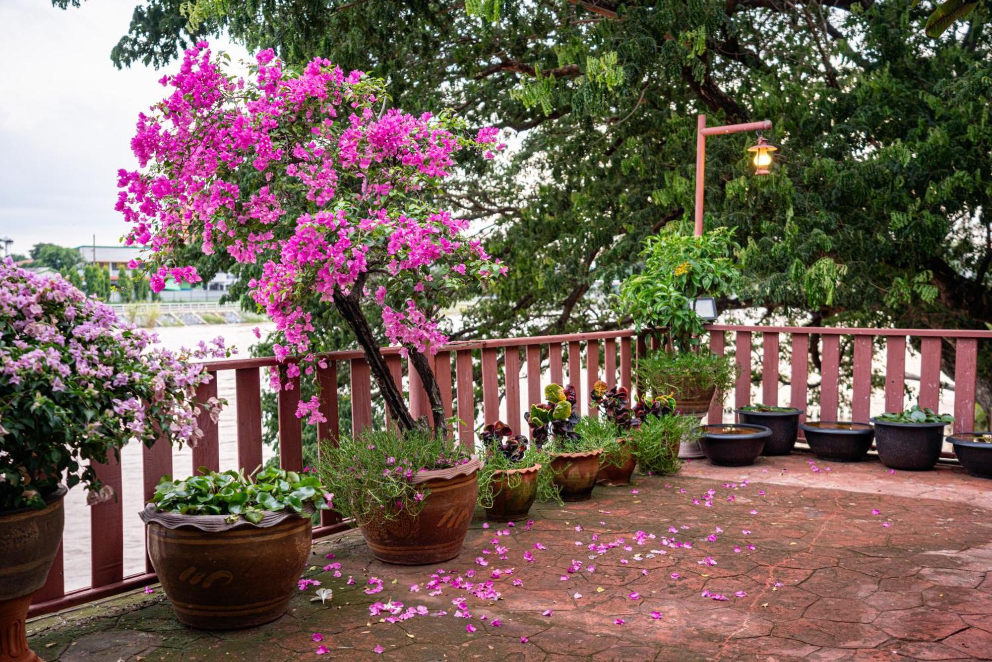 Athithara Homestay Phra Nakhon Si Ayutthaya Exteriör bild